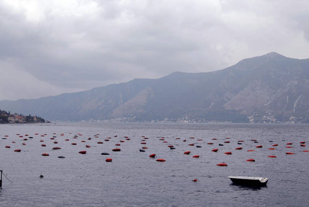 ����������, ����-��������� �����, ��������� �����