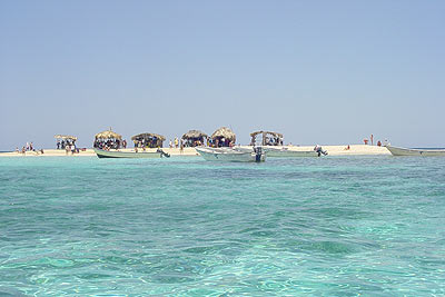 ������������� ����������.