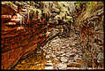 Alligator Gorge, Mt Remarkable National Park, South Australia, Australia (6) (820x550 392Kb)