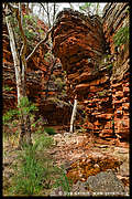 Alligator Gorge, Mt Remarkable National Park, South Australia, Australia (4)