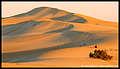 Coffin Bay Dunes on sunset (1), Coffin Bay NP, Eyre Peninsula, South Australia (820x473 131Kb)