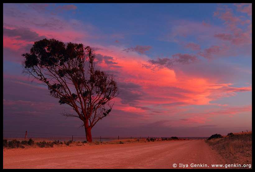 ����� ����� � Cape Bauer (3), Streaky Bay, Eyre Peninsula, South Australia
