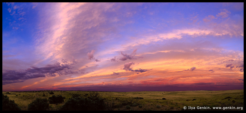 ����� ����� � Cape Bauer (4), Streaky Bay, Eyre Peninsula, South Australia