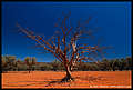 Gawler Ranges NP, Eyre Peninsula, South Australia