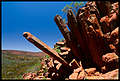 Organ Pipes, Gawler Ranges NP, Eyre Peninsula, South Australia