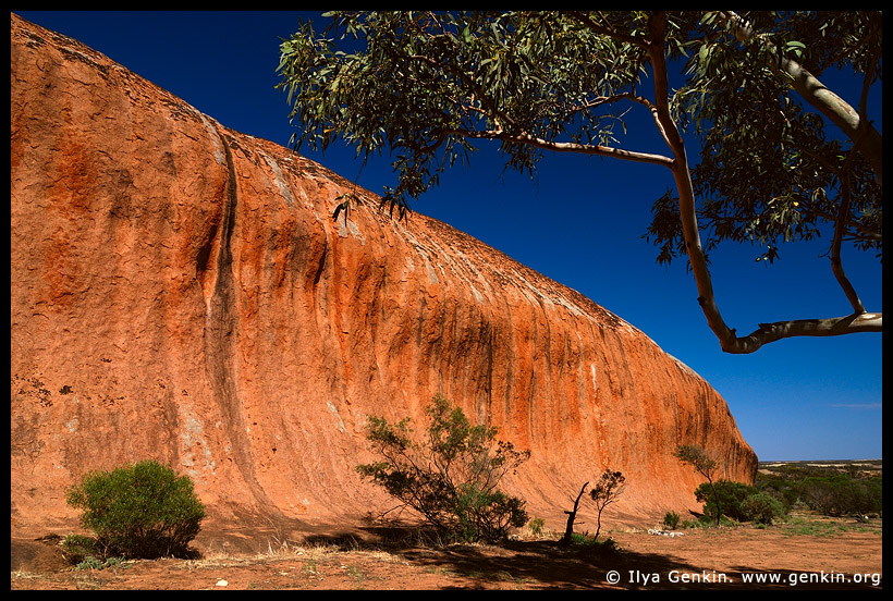 Pildappa Rock, Streaky Bay, Eyre Peninsula, South Australia