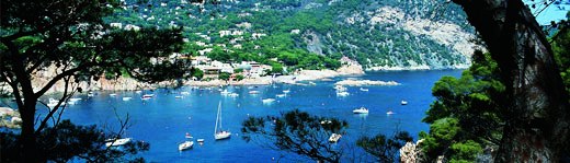 ��������� ����� �����. ��������� ������.