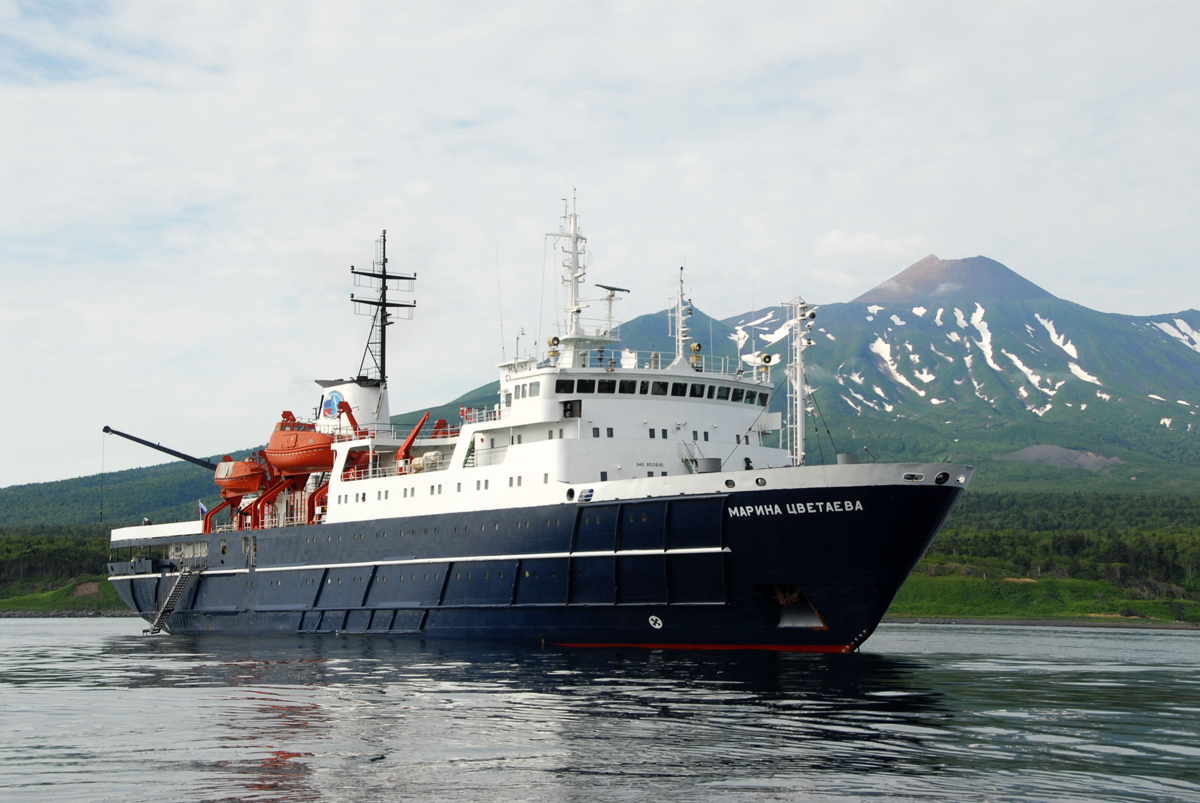 "������ ��������"