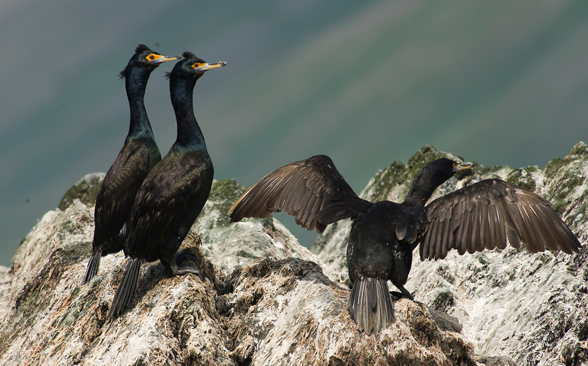 ������������ ������?