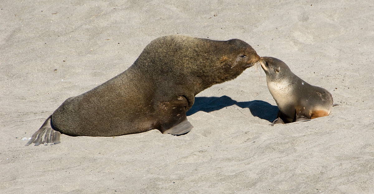 ������������ �������