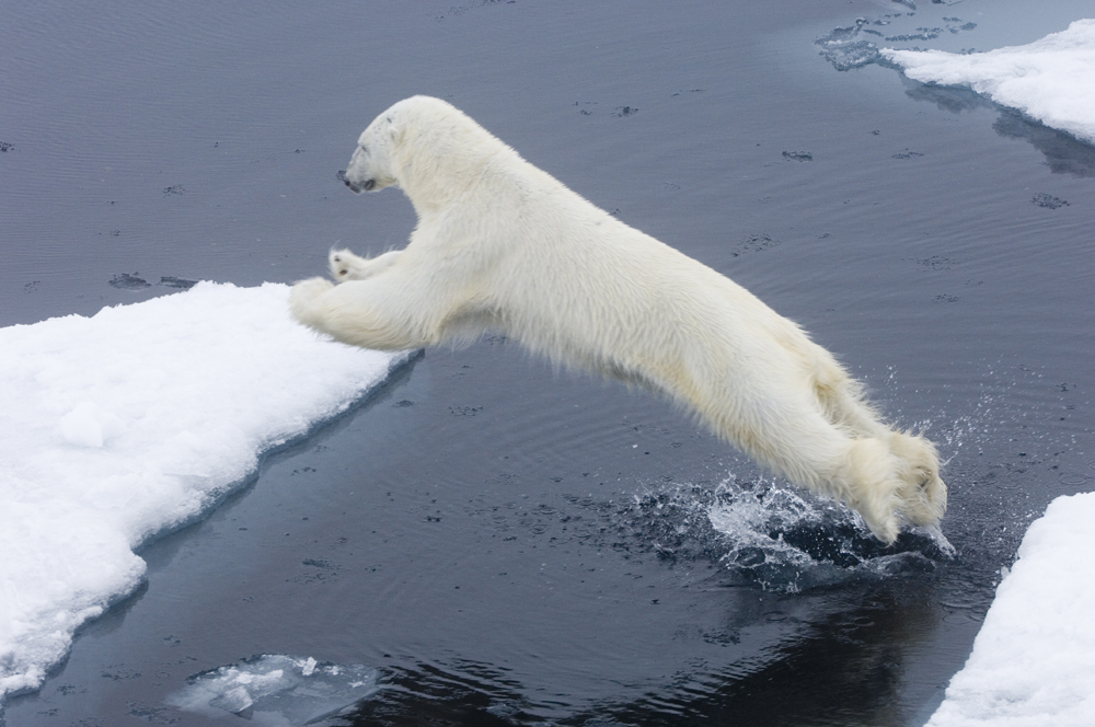 �������� ������