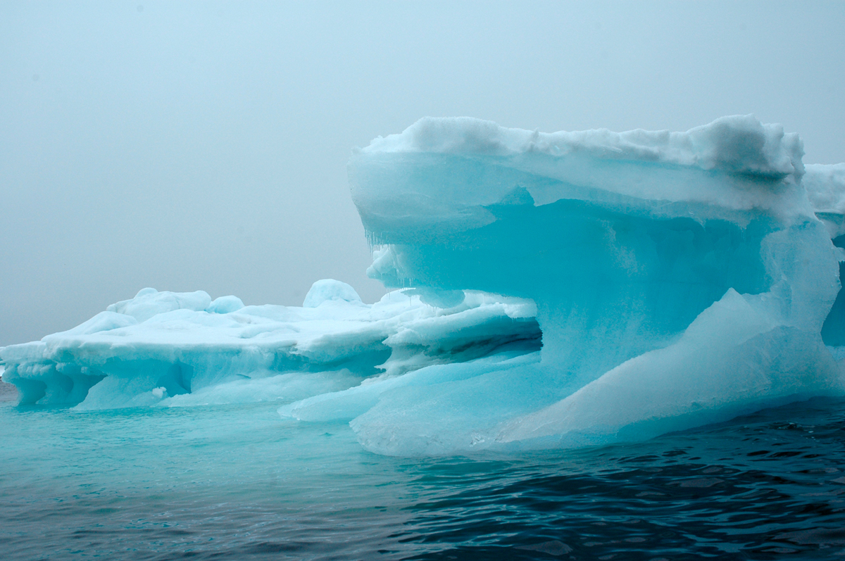 ������� ��������