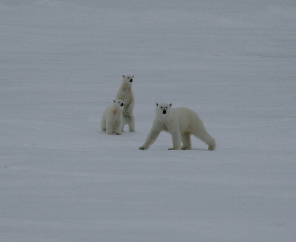 ������ ��������� � ����:)