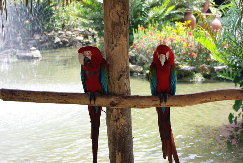 ����������