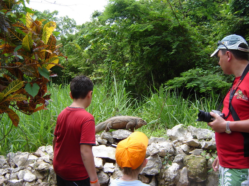 �������