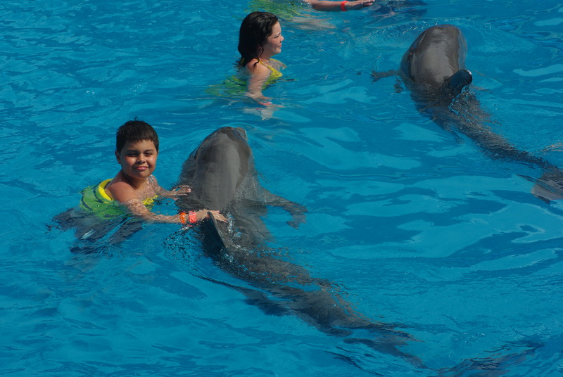 �������