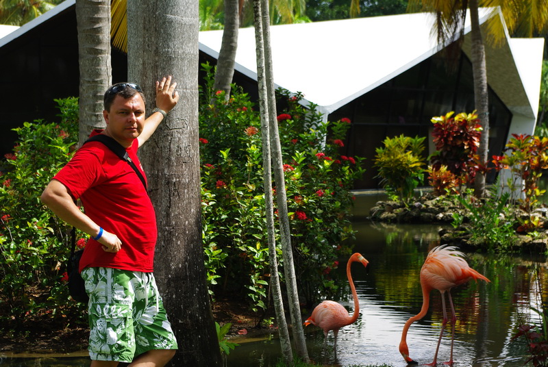 ����������