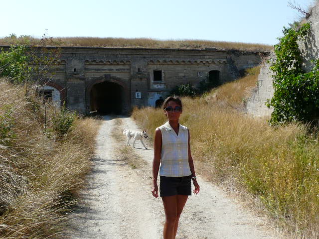 ���������� ��������, �� �����������