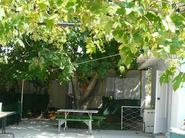 ��������������