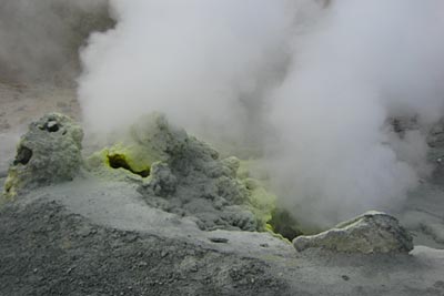 ���������� �������.