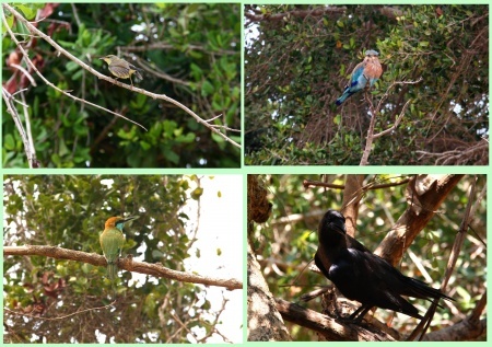 ���-�� ���� ��� �������.