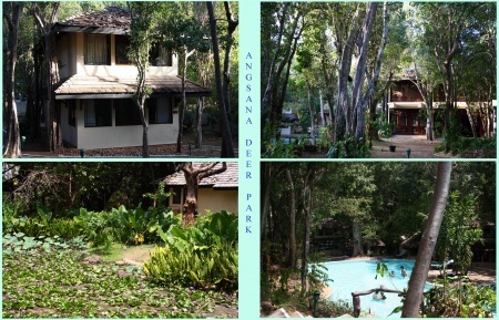 ���-�� ���� ��� �������.