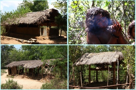 ���-�� ���� ��� �������.