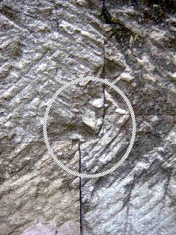 ������, ������.