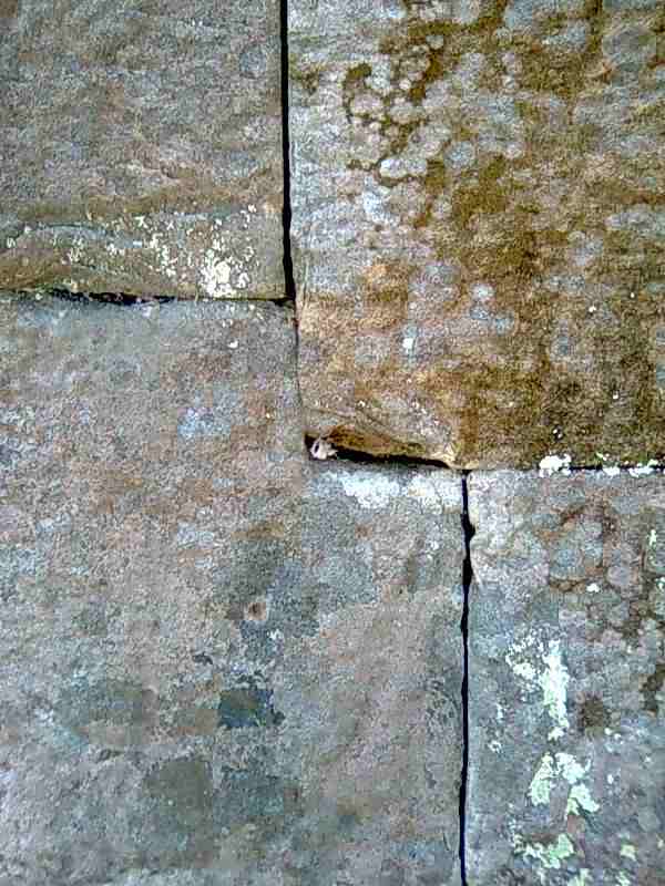 ������, ������.