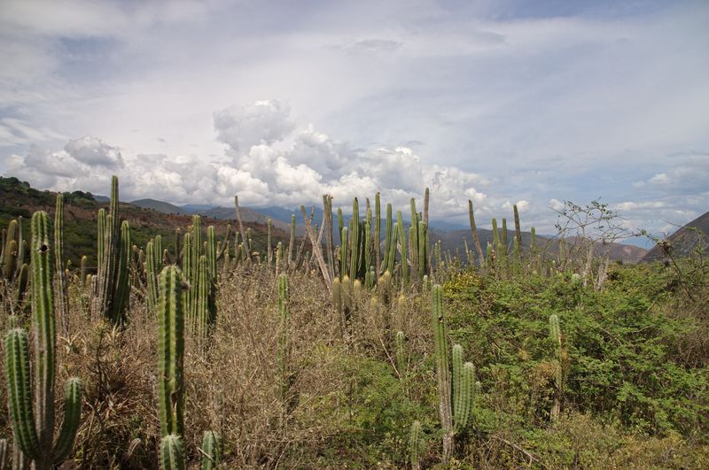 Канайма - архипелаг Лос-Рокес - Мерида: отчет с фото