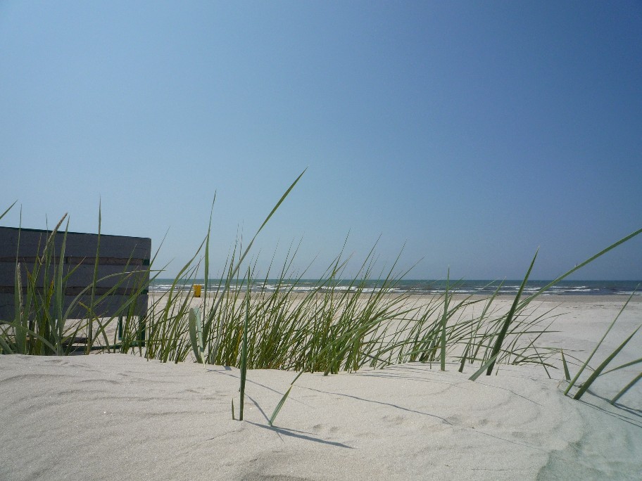 ����, ������.