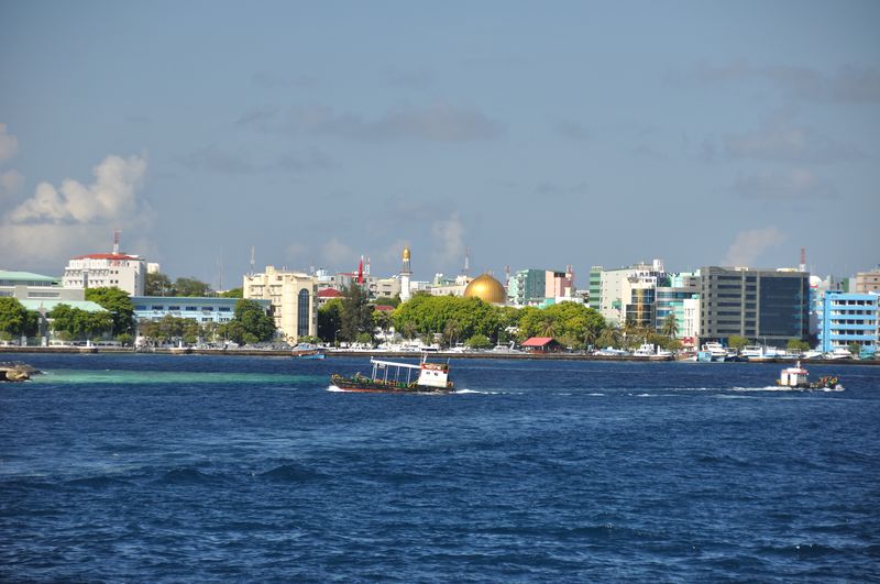 Мальдивы - дайв-сафари на Sachika 17-28 апреля