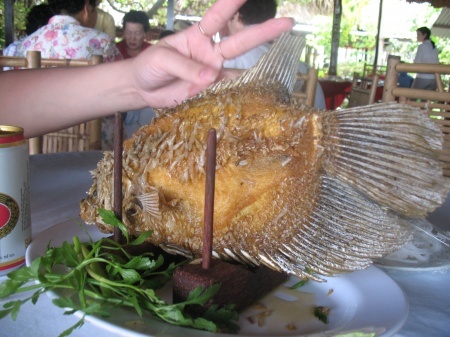 ���� "��� �����".