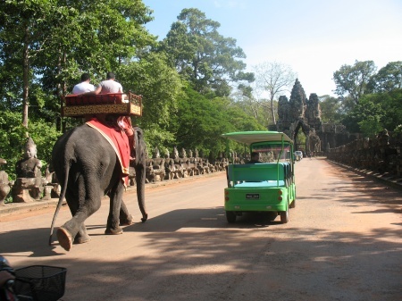 � ��������.