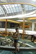 Mall at Millenia. (300x450 63Kb)
