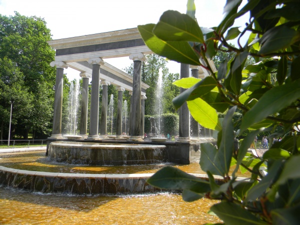 �����������/��������, �����-��������� � �������, ������.