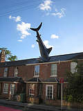 Дом с акулой был построен 1860 г. в Оксфорде, Великобритания. (480x640 168Kb)