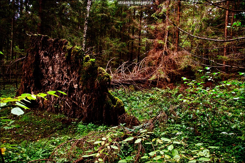 ���� ������ ������� ���������� ������ � �����������.