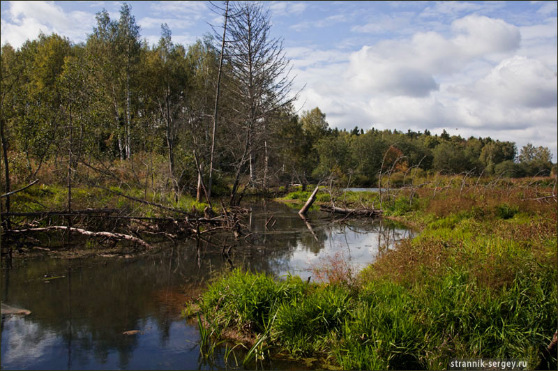 � ������ ������ ������� ������ � ����, �������� ������������� ����.