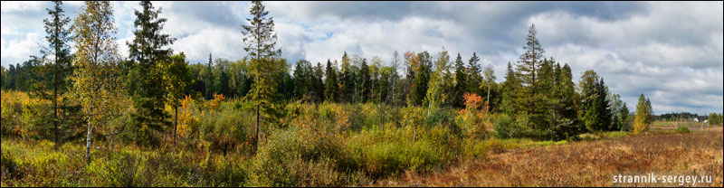 ���� �������: �� ����� ������.