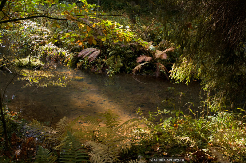 ����� �� ����� ������ �������� ������� �������� � ����.