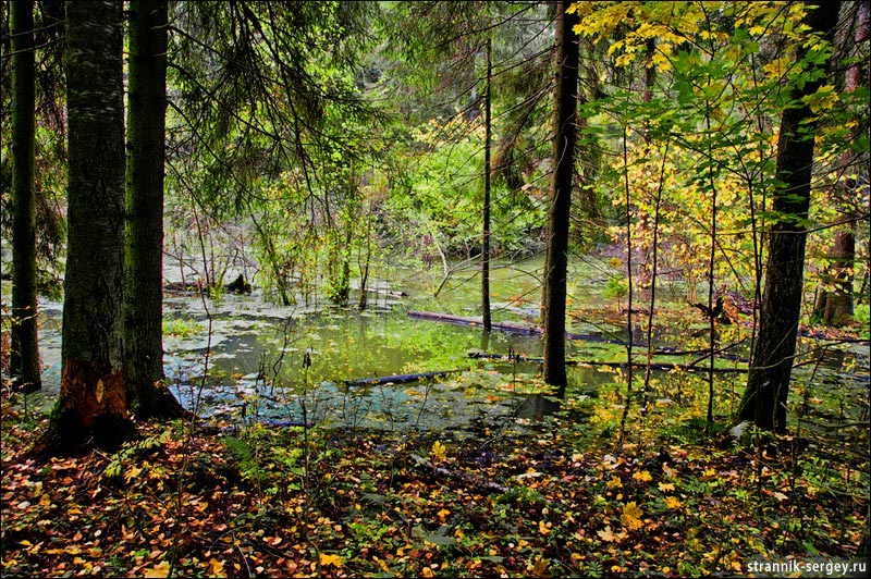 ������ ������� ������, ������� ������ ������� �����.