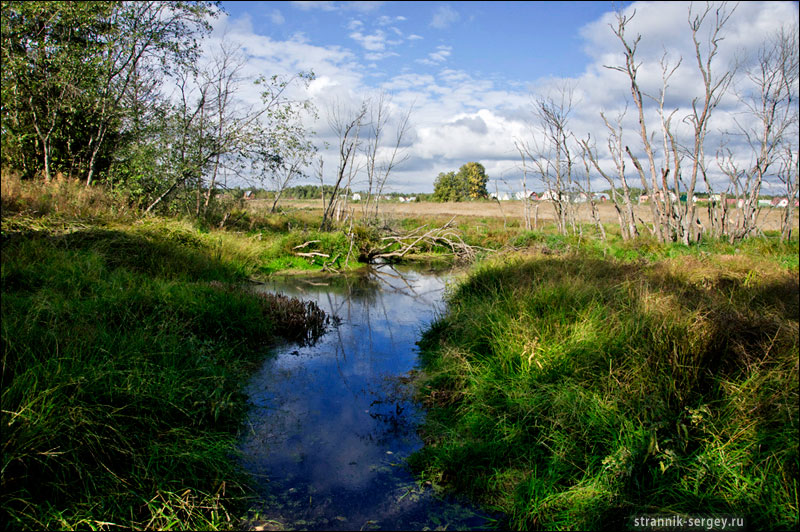 � ������ ������ ������� ������ � ����, �������� ������������� ����.