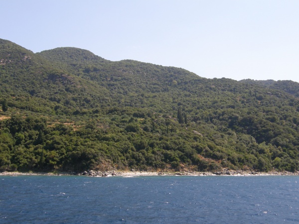 ���������� ���������� ����, ������.