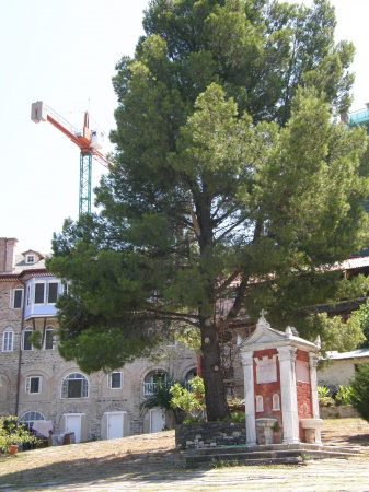 ���������� ���������� ����, ������.