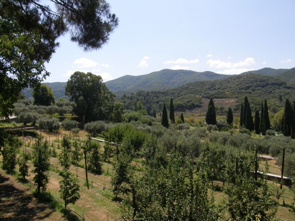 ���������� ���������� ����, ������.