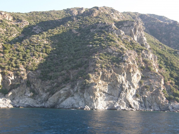 ���������� ���������� ����, ������.