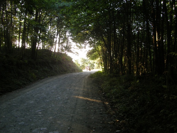 �������� ������, ������.