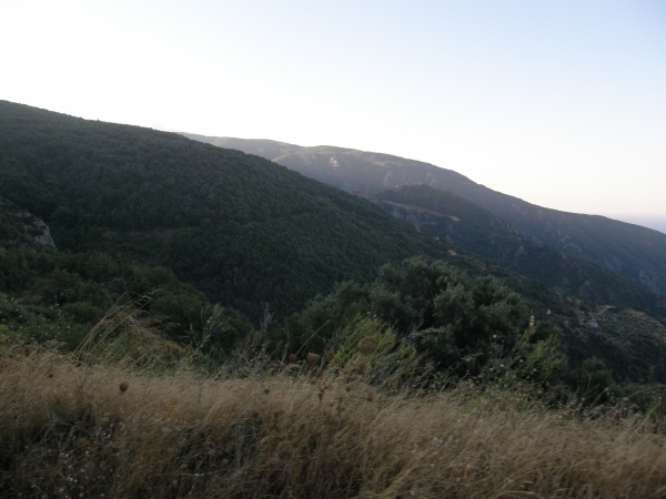 ���������� ���������� ����, ������.