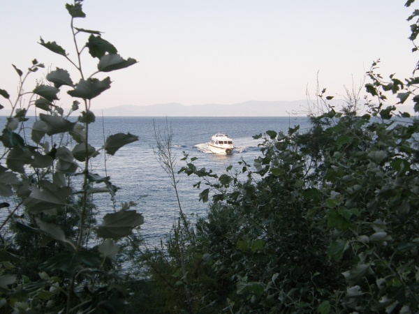 ���������� ���������� ����, ������.